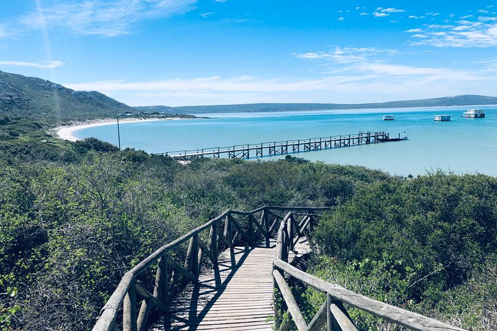 West Coast National Park private tour - Photo 1 of 25
